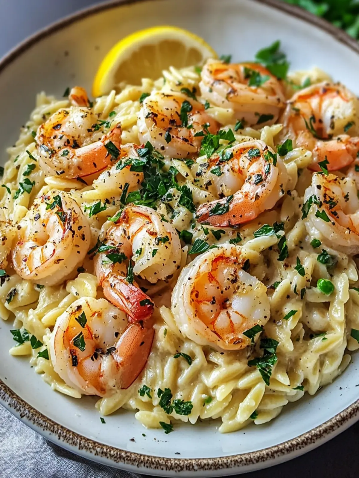 Creamy Parmesan Orzo with Succulent Shrimp for a Cozy Dinner 2 Creamy Parmesan Orzo with Succulent Shrimp
